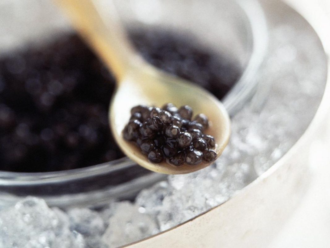 Caviar in Sharjah